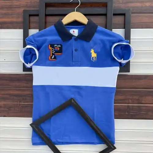 Casual Polo S hirt F or Men Best Quality